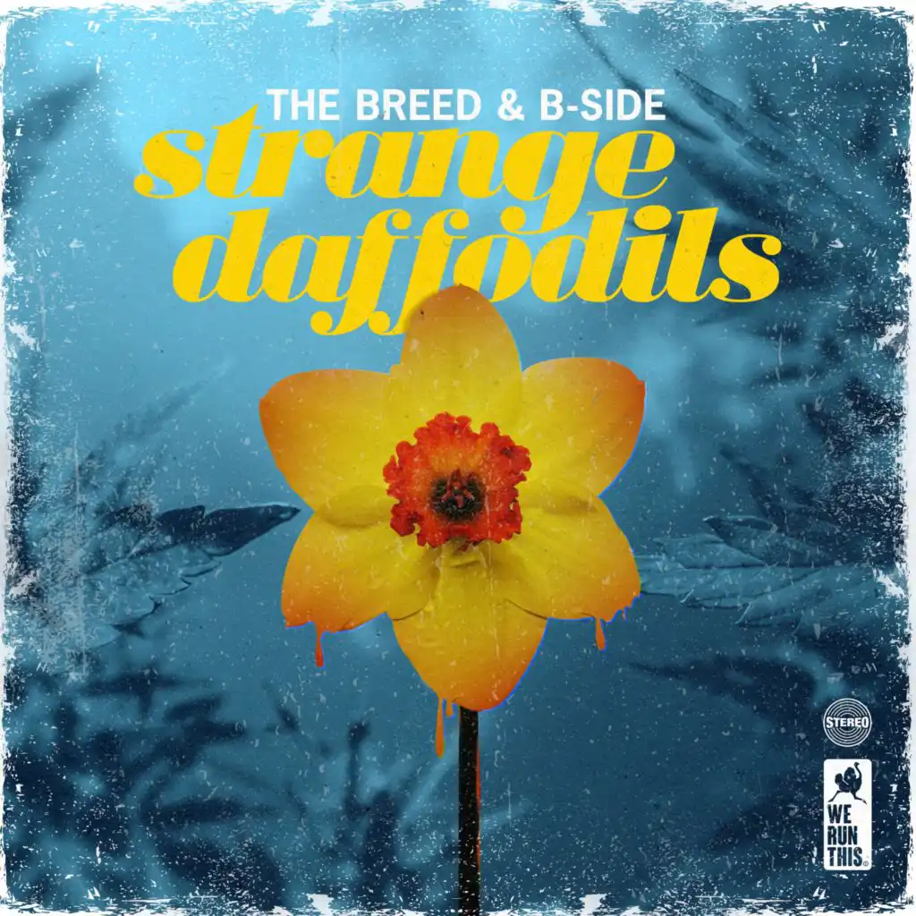 The Breed & B-Side