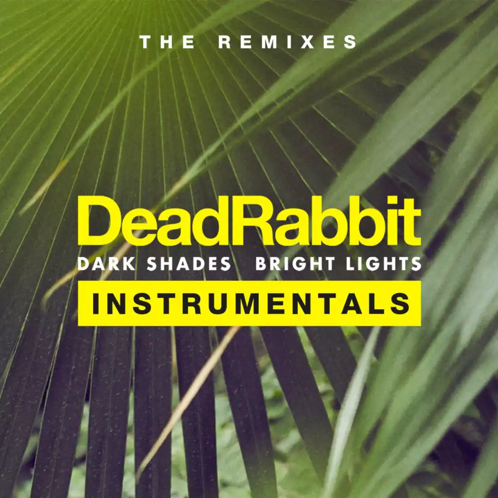Dark Shades / Bright Lights - The Remixes Instrumentals