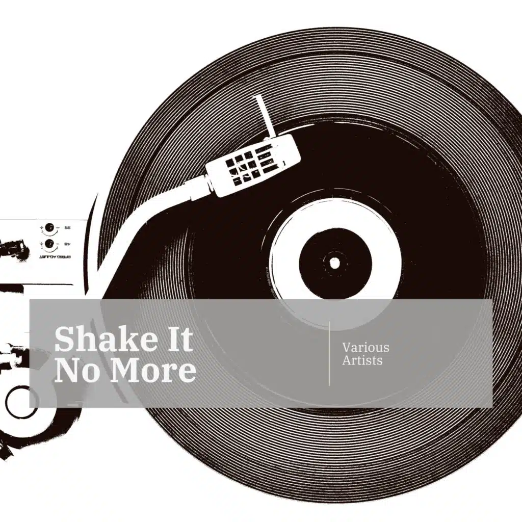 Chicago Loopers,  Willard Robison And His Orchestra