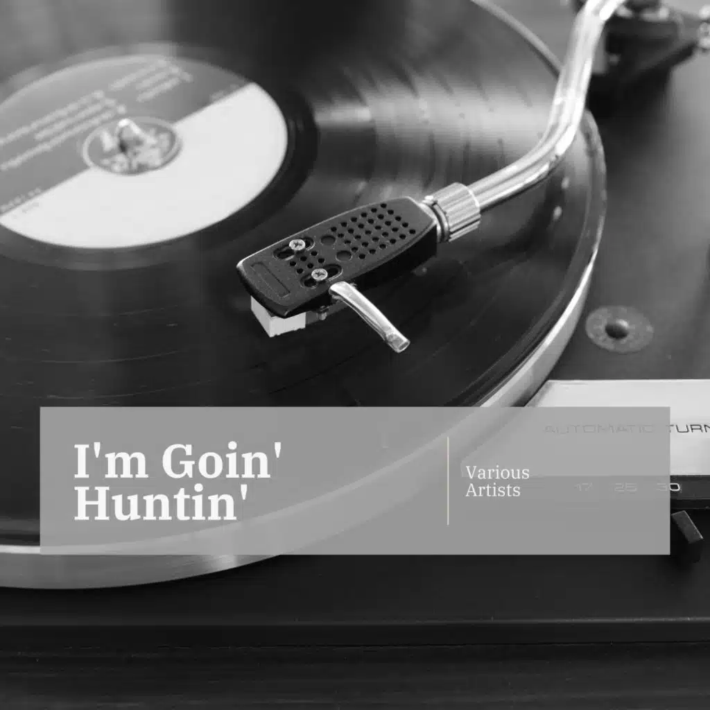 Jimmy Bertrand's Washboard Wizards