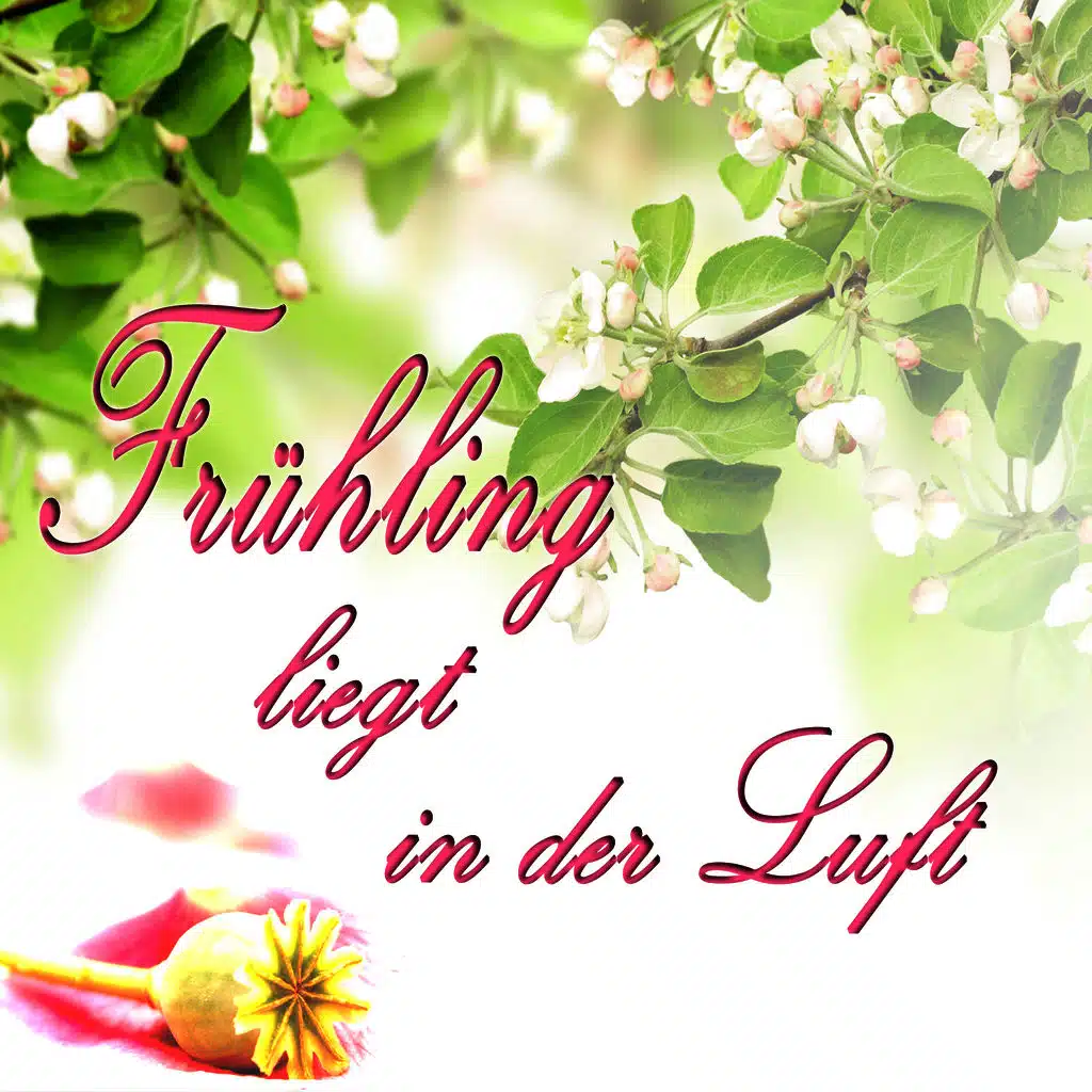 Frühling Liegt in Der Luft