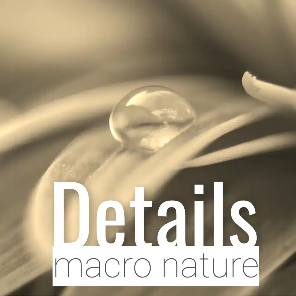 Philip Michael Guyler, Jez Poole and Danny Eldridge