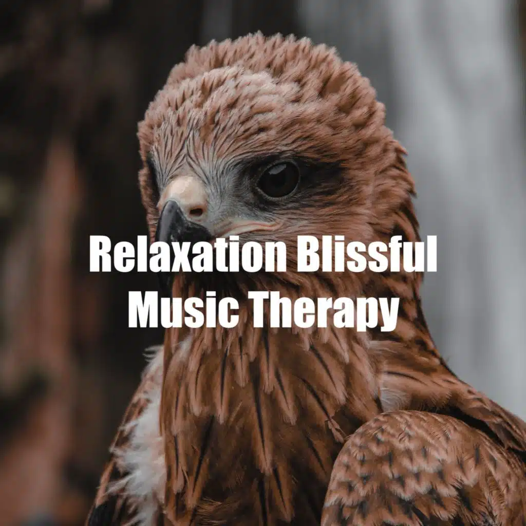 Nature Bird Sounds