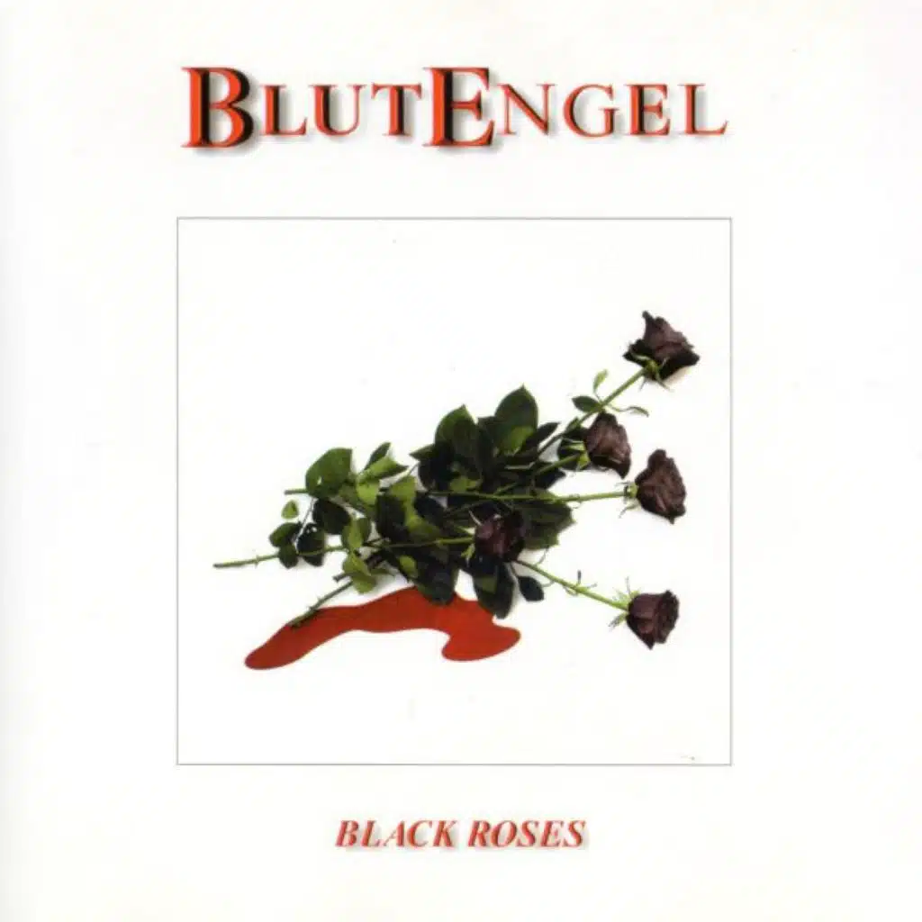 Black Roses (Opposite Sex)