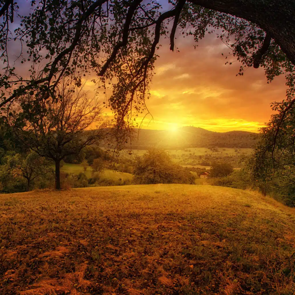 Piano Fruits Music & Magnus Eriksson