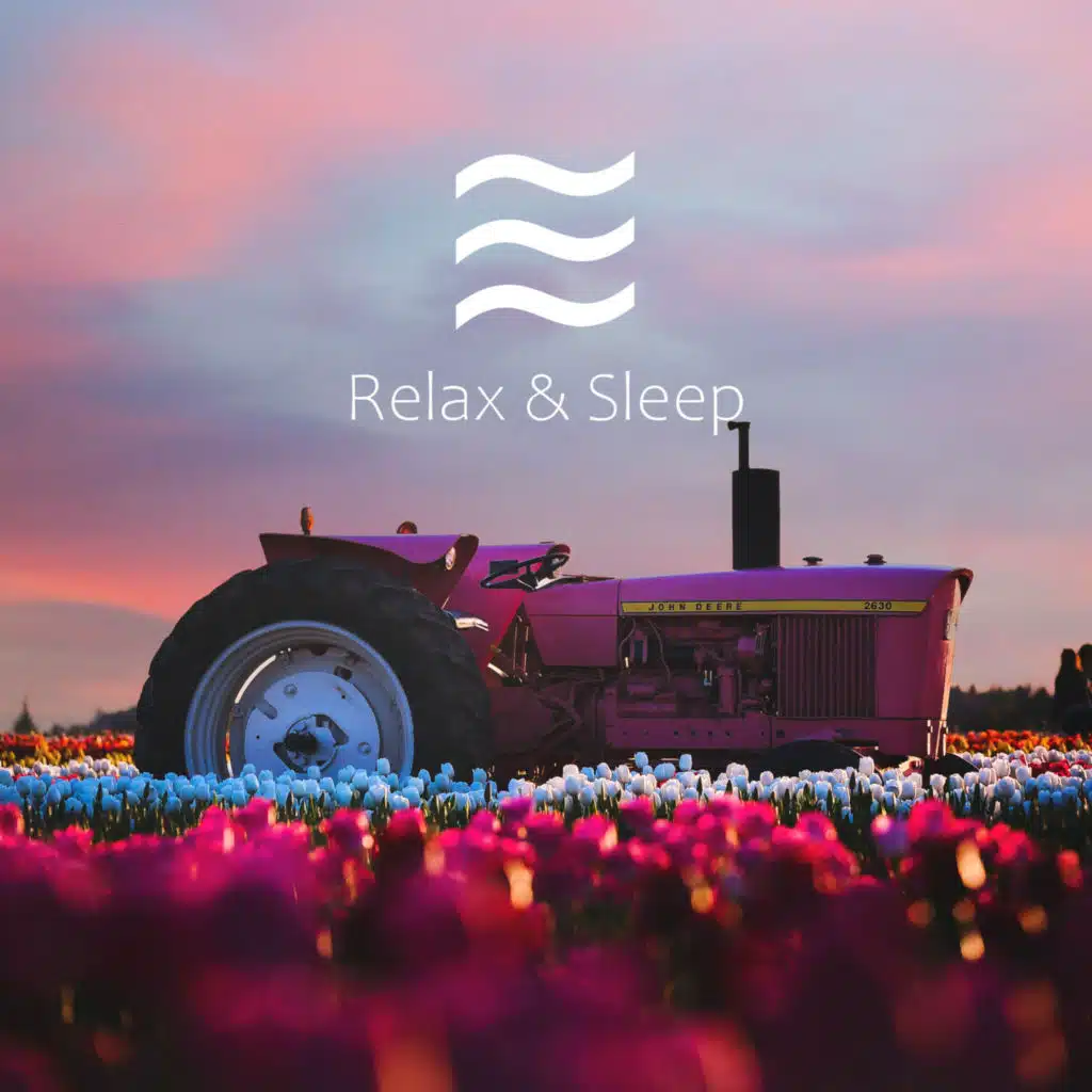 Hypnagogic Pink Noise