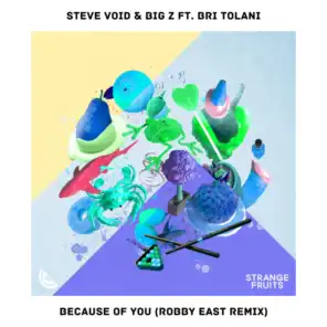 Steve Void & Big Z