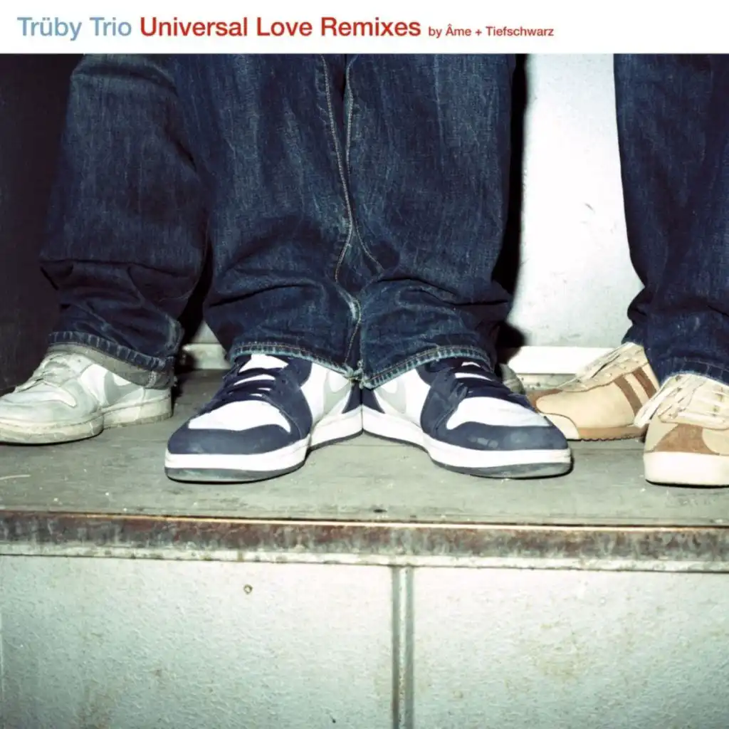 Universal Love (Tiefschwarz Remix) [feat. Marcus Begg]
