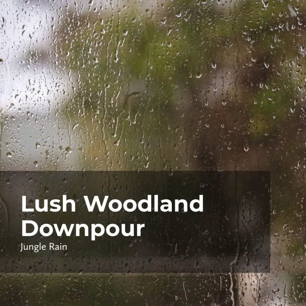Lush Woodland Downpour