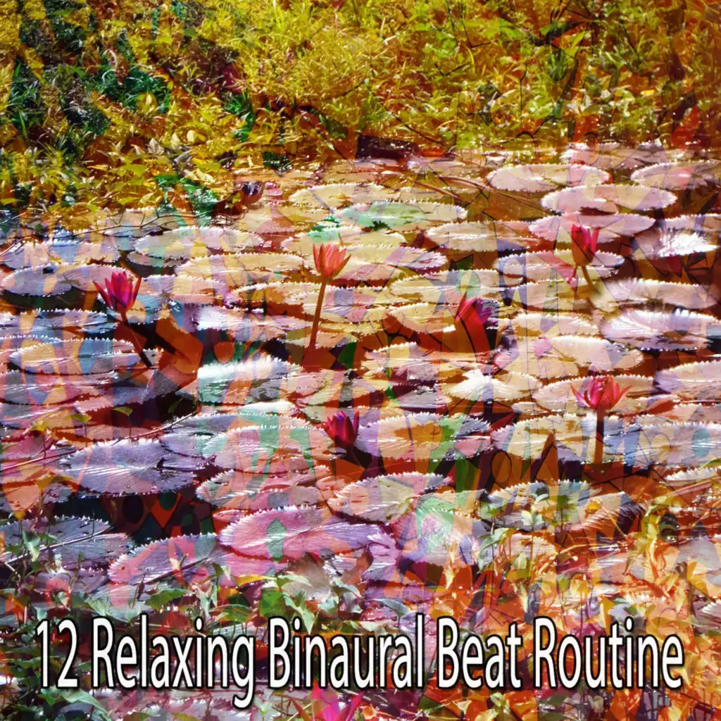 12 Relaxing Binaural Beat Routine