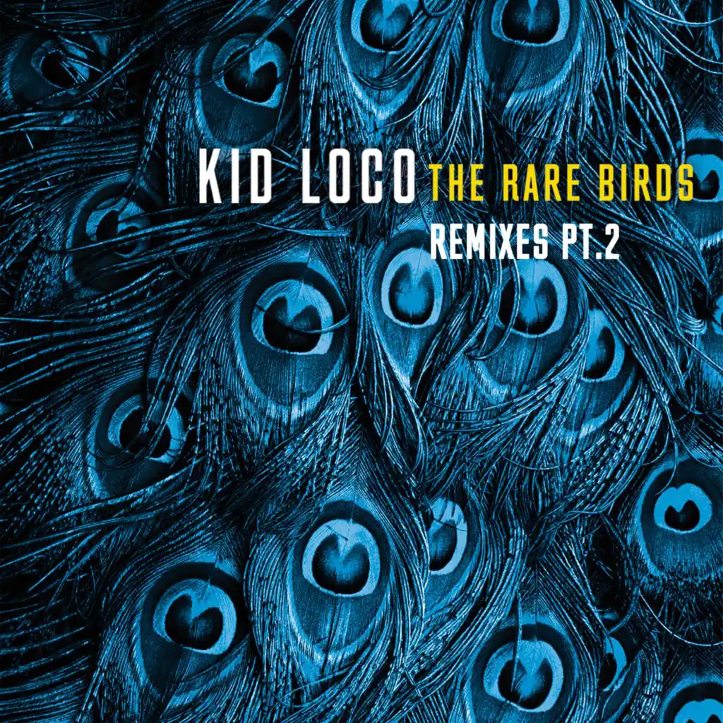 The Rare Birds Remixes, Pt. 2