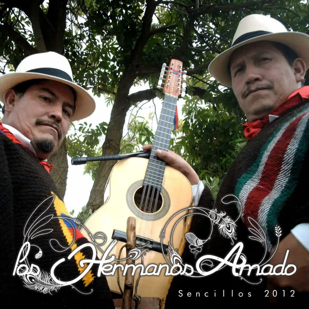 Sencillos 2012