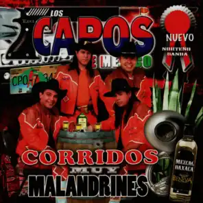 Los Capos De Mexico