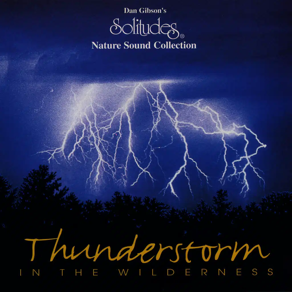 Thunderstorm in the Wilderness