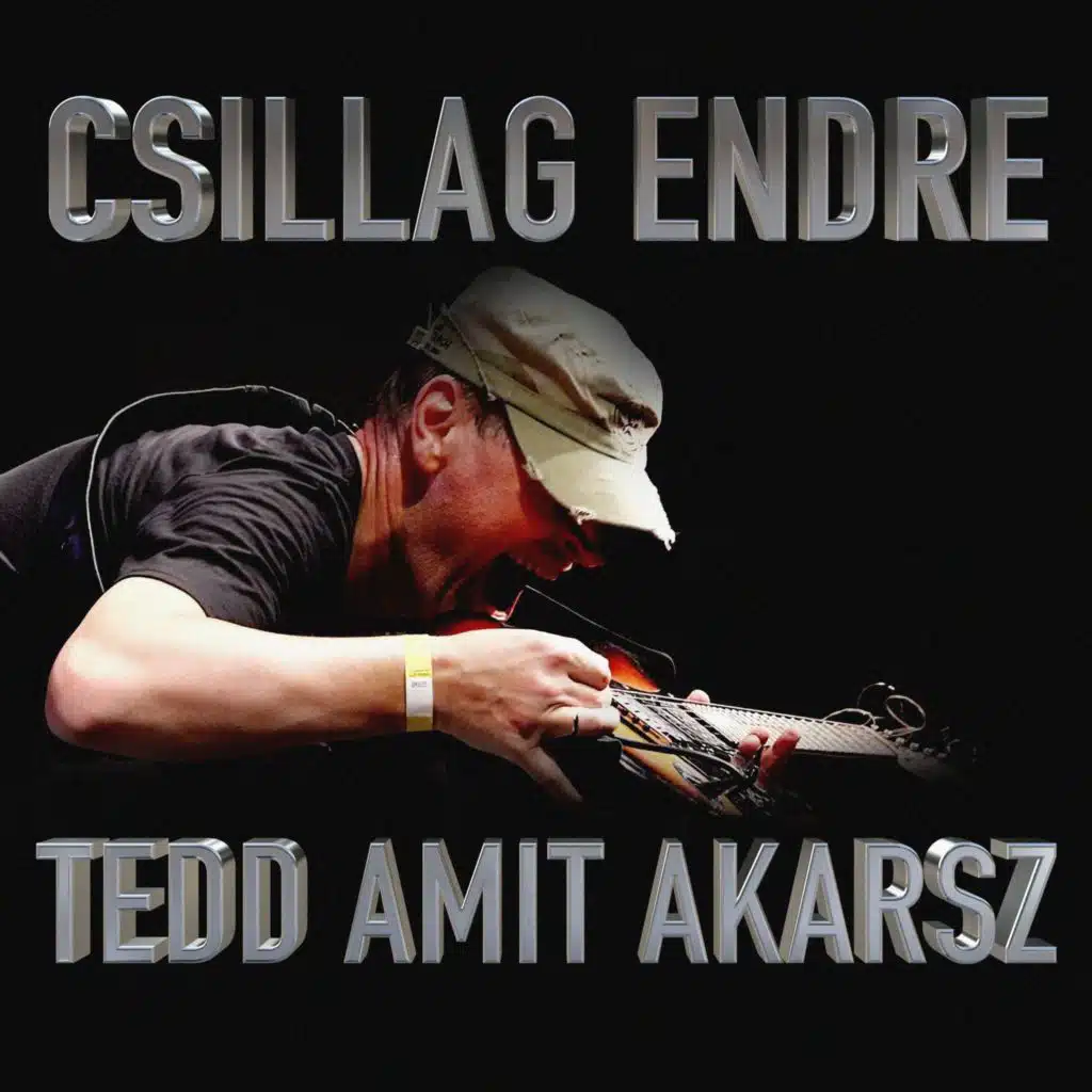 Csillag Endre