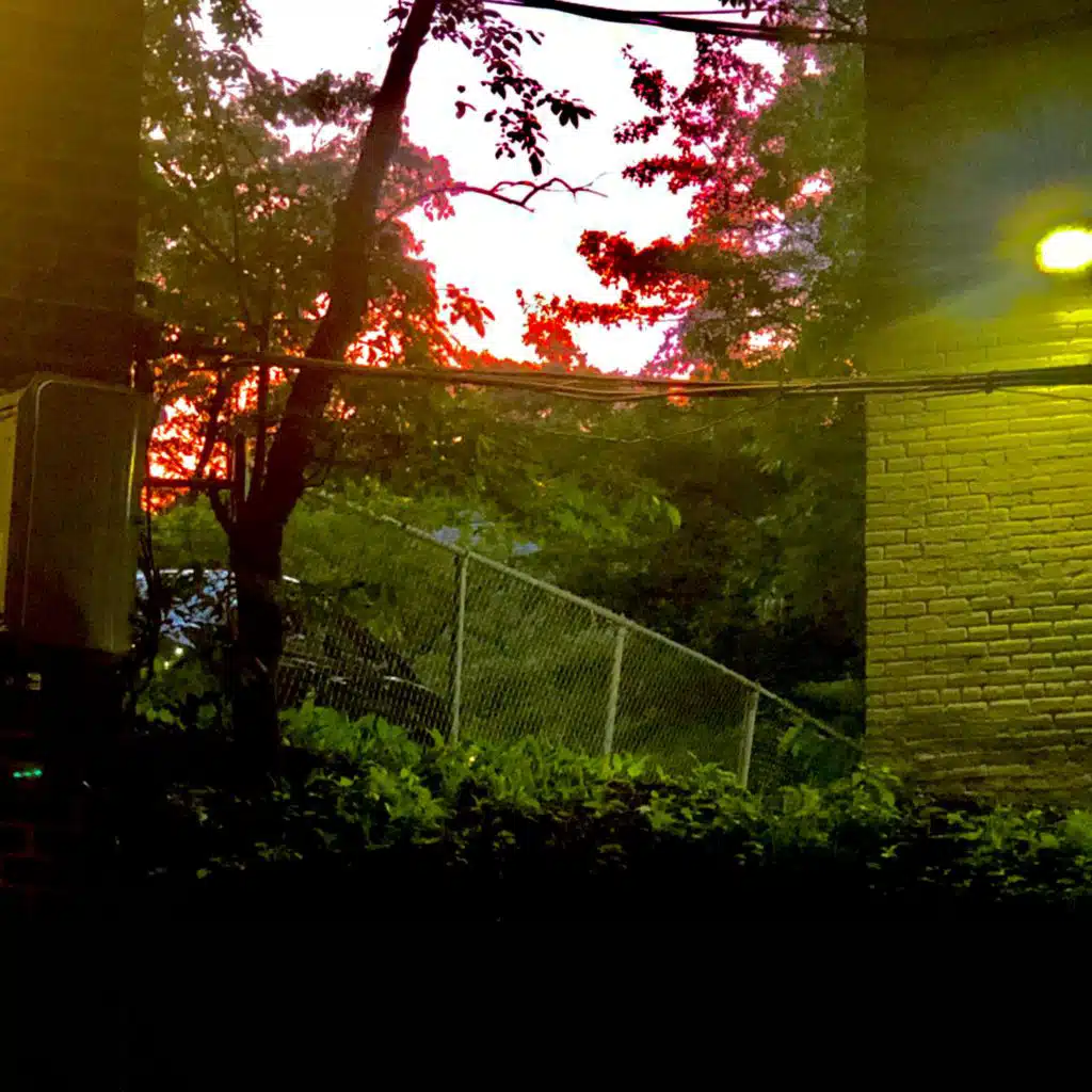 I Love This Ugly Place