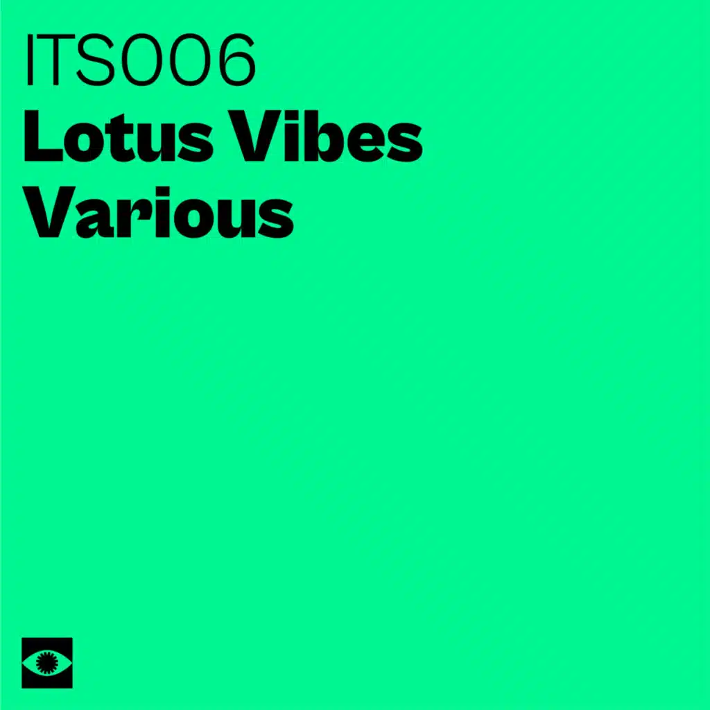 Ivan Masa, Brothers In Progress