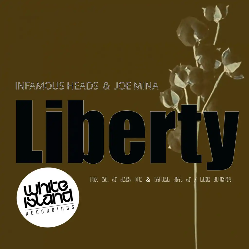 Liberty (DJ Desk One & Manuel Diaz DJ Remix)