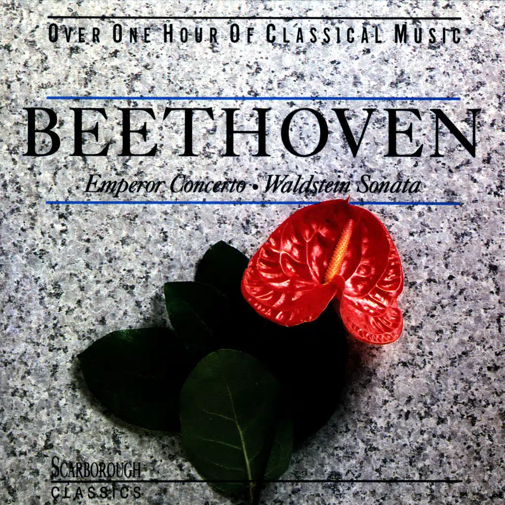 Ludwig van Beethoven & Hamae Nakajima