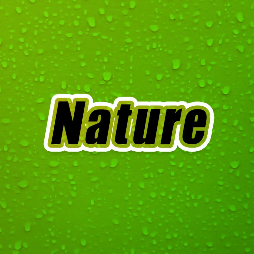 Nature Rain Ambience