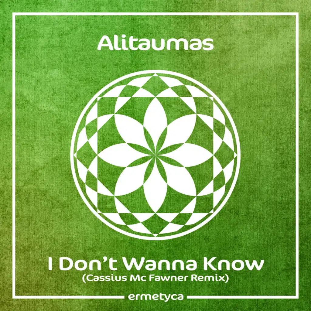 I Don’t Wanna Know (Cassius Mc Fawner Remix)