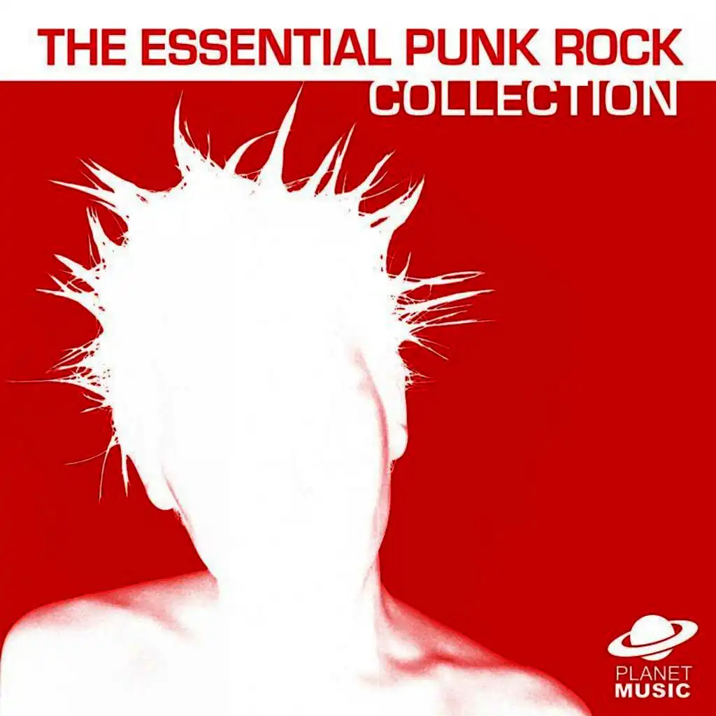 The Essential Punk Rock Collection