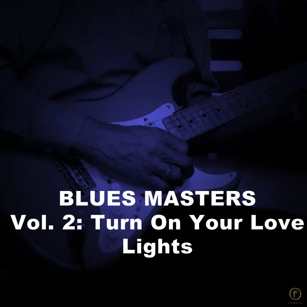 Blues Masters, Vol. 2: Turn On Your Love Lights