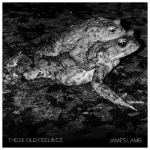 James Lamb