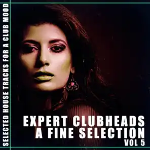 Expert Clubheads: A Fine Selection, Vol. 5