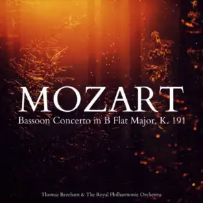 Bassoon Concerto in B Flat Major, K. 191: Andante ma adagio