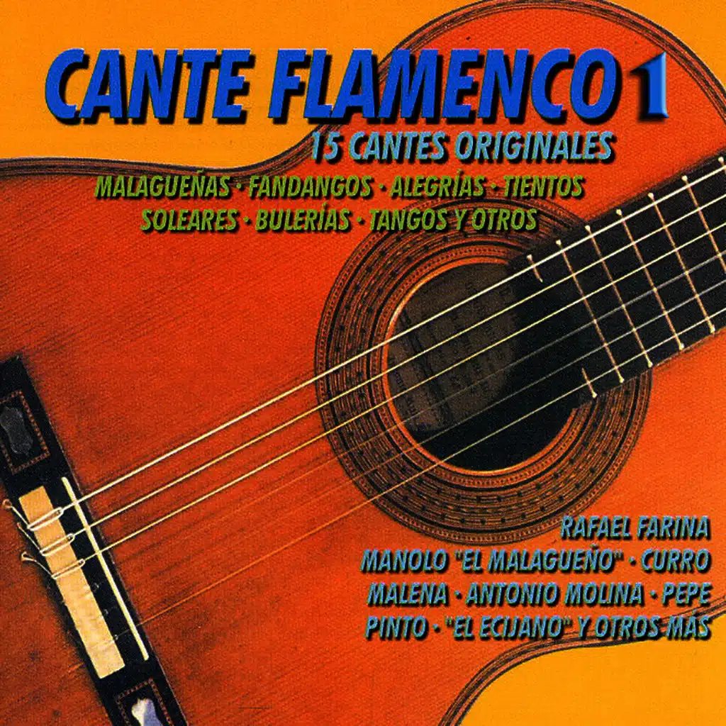 Cante Flamenco 1