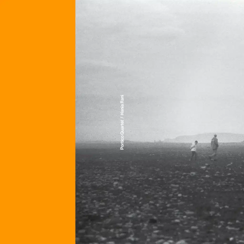 Nest (Portico Quartet Remix)