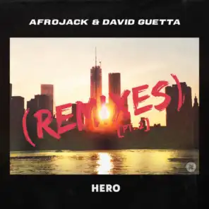 Hero (Black V Neck Remix)