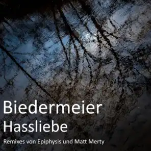 Hassliebe Remix (Matt Merty Remix)