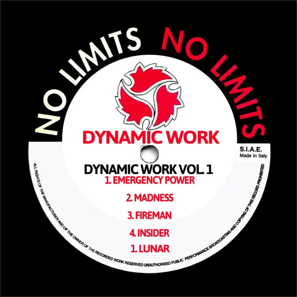 Dynamic Work Vol. 1