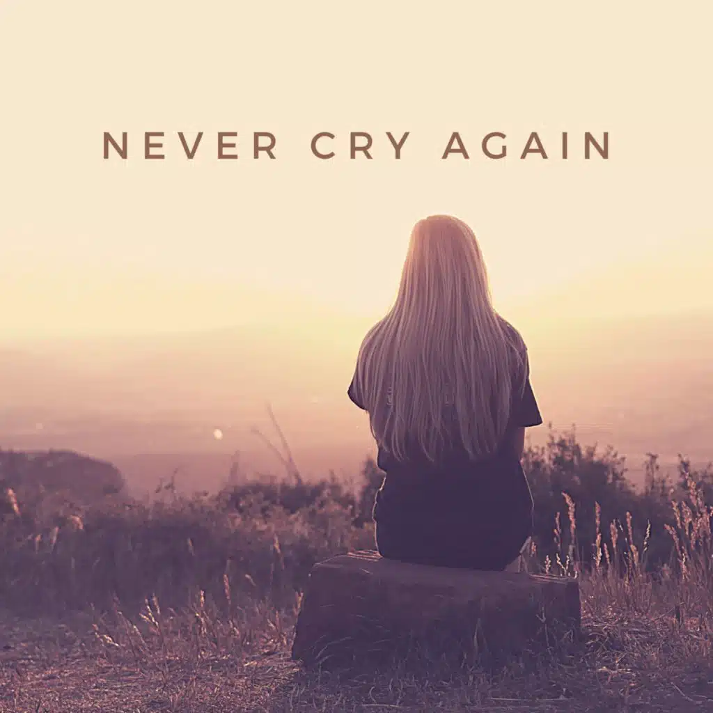 Never Cry Again (Original Vocal Mix)