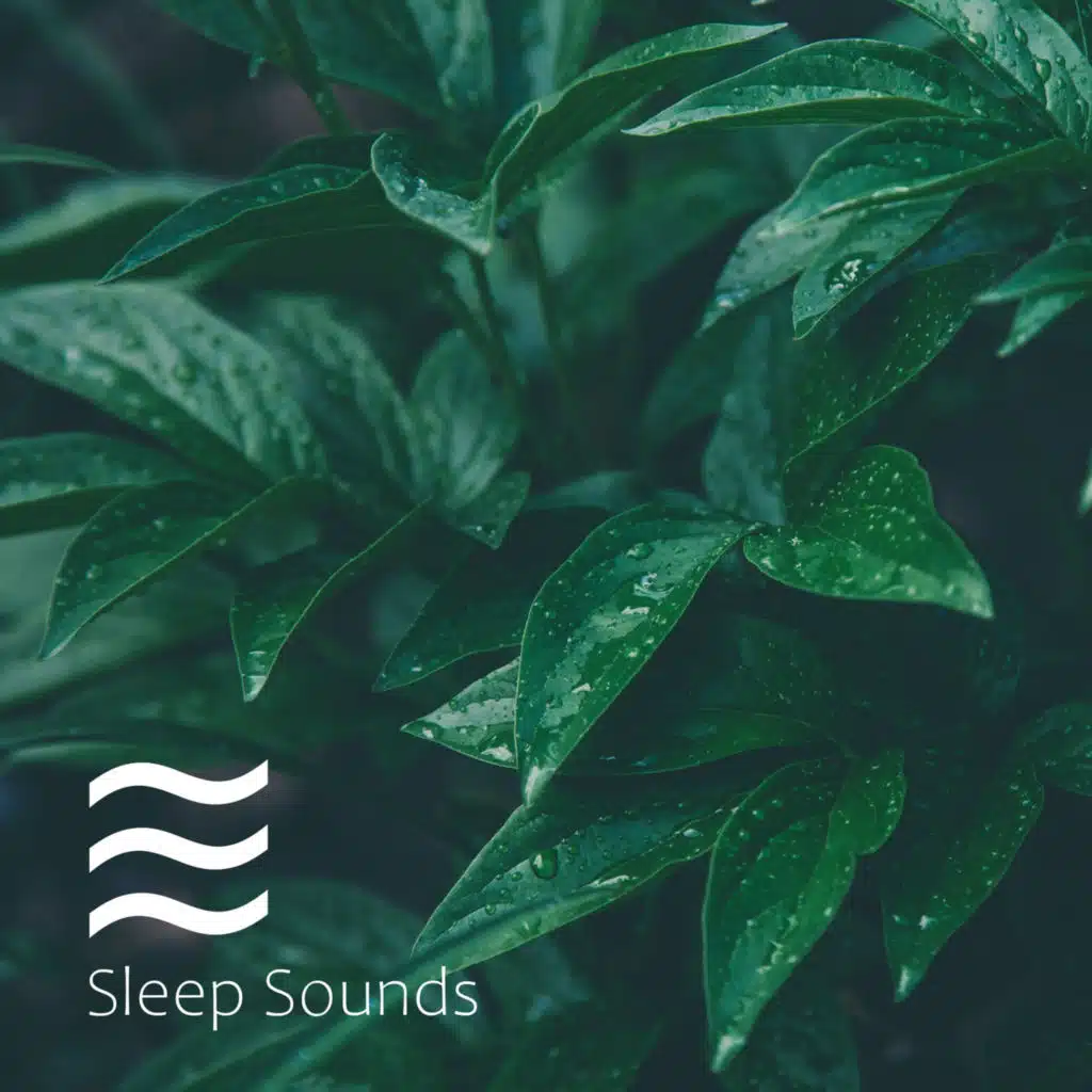 Deep Sleep Vacuum Cleaners