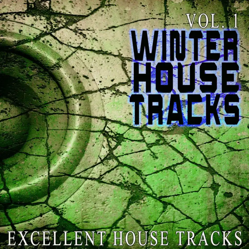 Winter House, Vol. 1 - Excellent House
