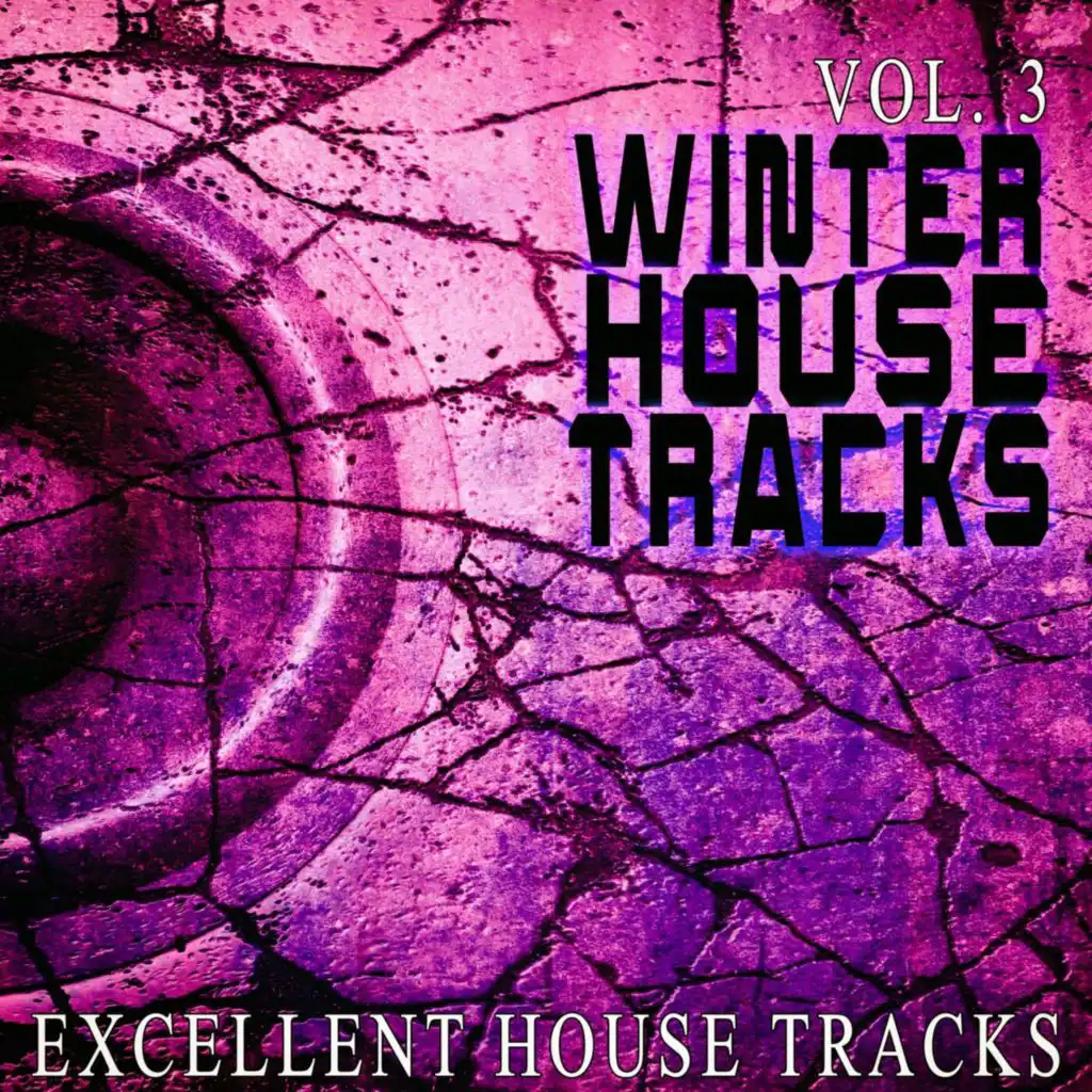 Winter House S, Vol. 3 - Excellent House S