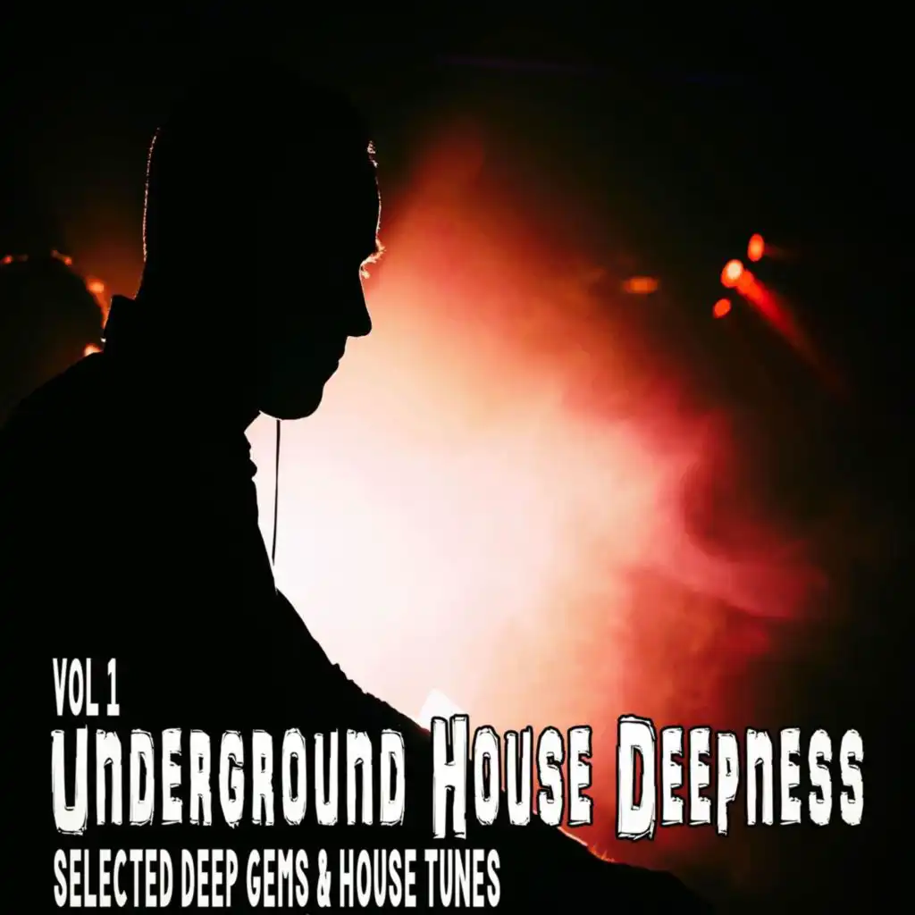 Underground House Deepness, Vol. 1 - Selected Deep Gems & House Tunes