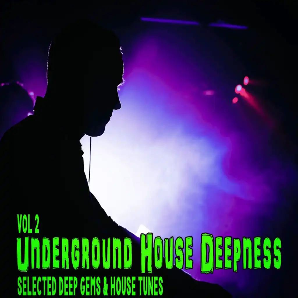 Underground House Deepness, Vol. 2 - Selected Deep Gems & House Tunes