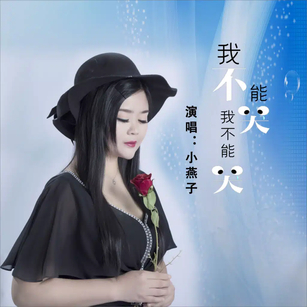 我不能哭我不能哭 (DJ何鹏版)