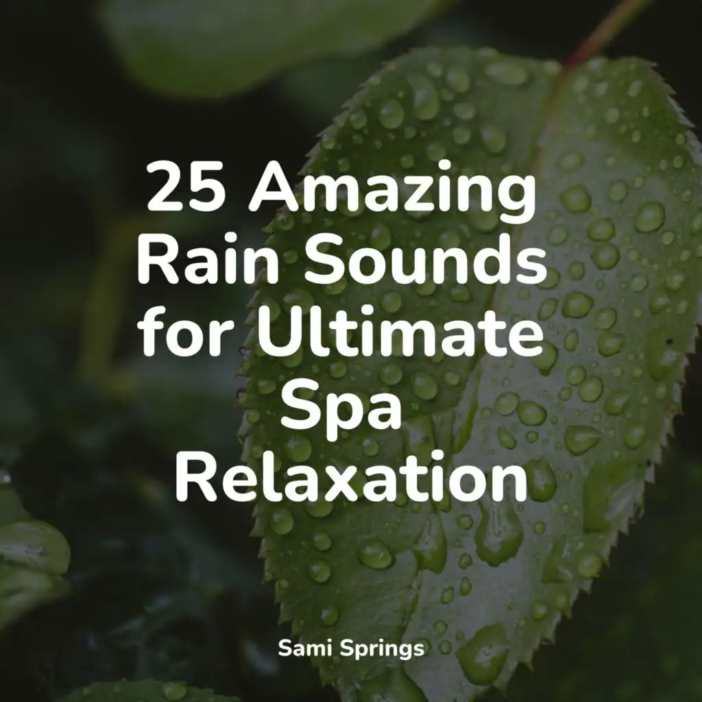 25 Amazing Rain Sounds for Ultimate Spa Relaxation by Rain Recorders ...