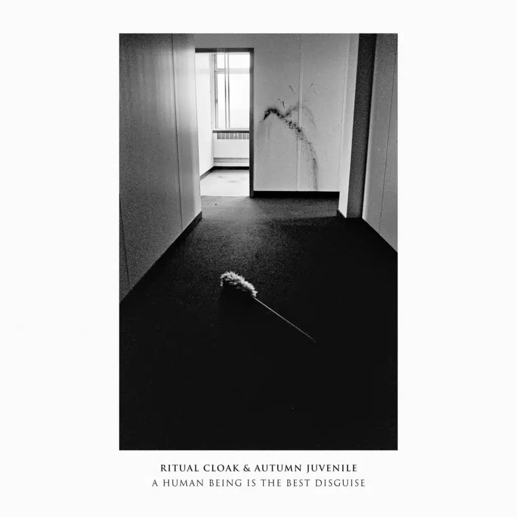 A Human Being is the Best Disguise