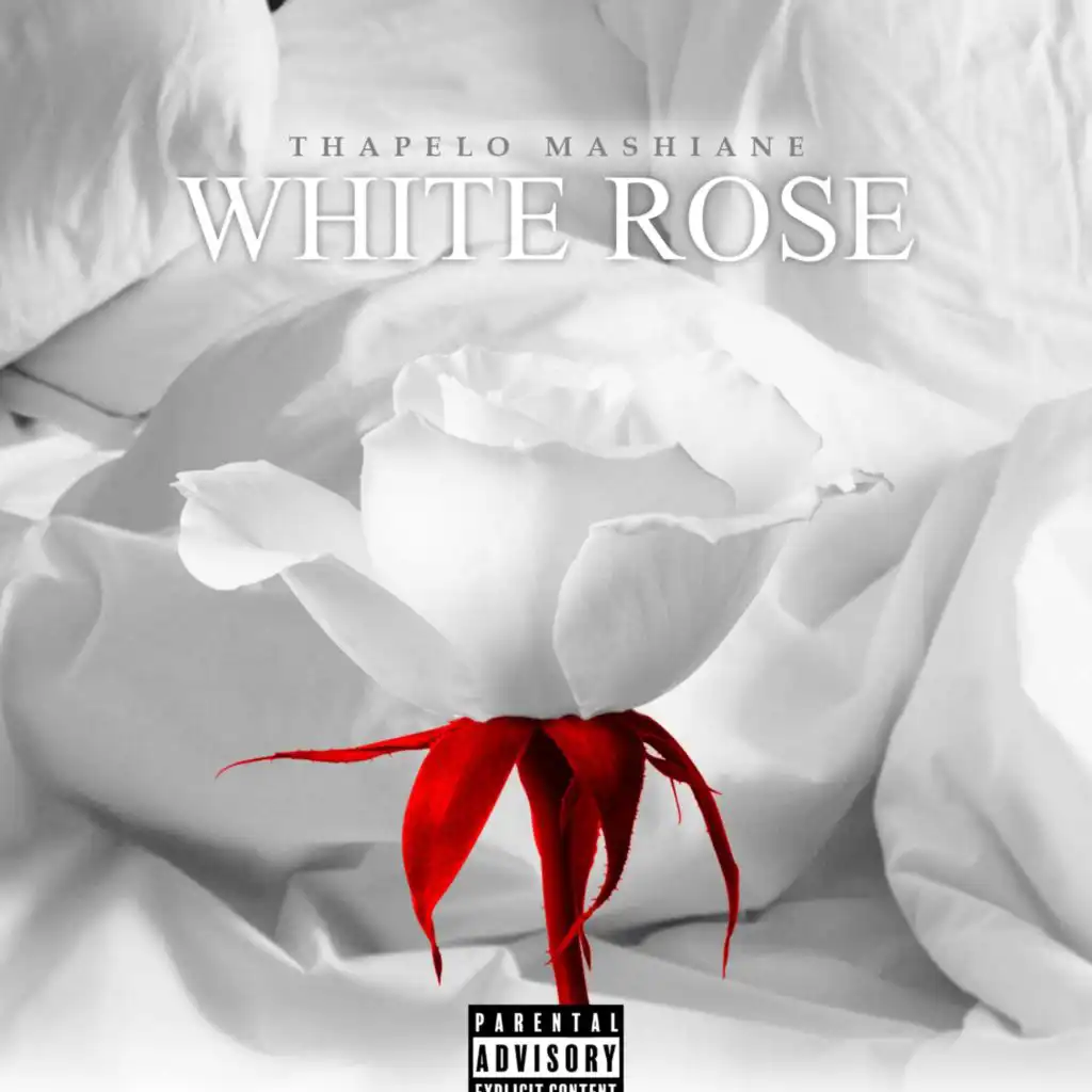 White Rose