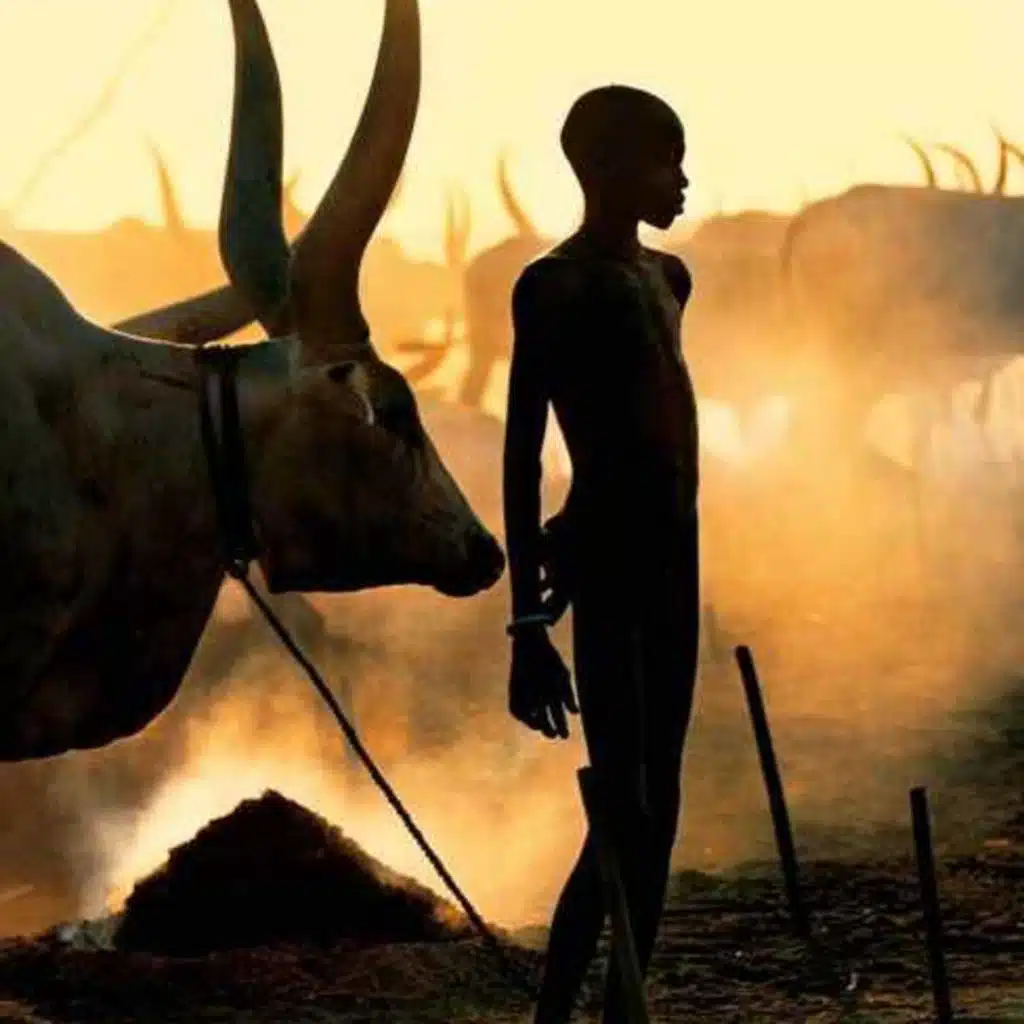 Episode 36: التحدي" - عربي تشادي"