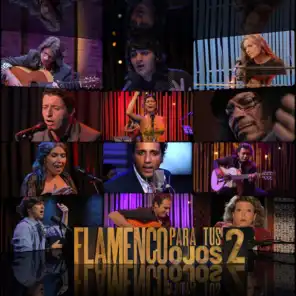 Flamenco para tus ojos, Vol. 2