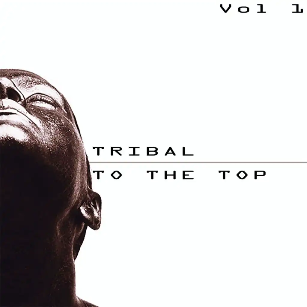 Tribal to the Top, Vol. 1 - Tribal for Every Mood