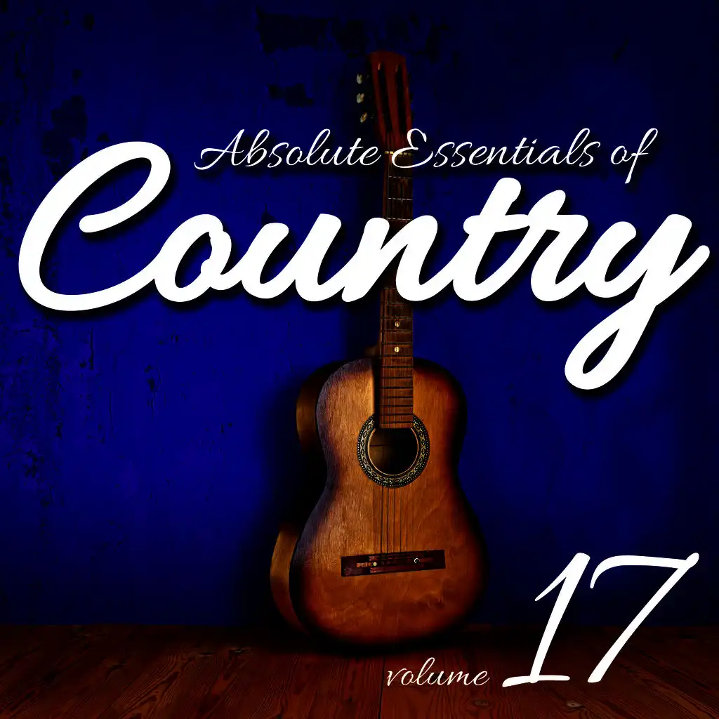 Absolute Essentials of Country, Vol. 17