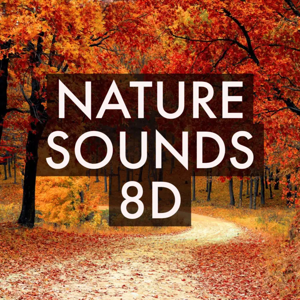 Nature Sounds 8D & Sleep Tight